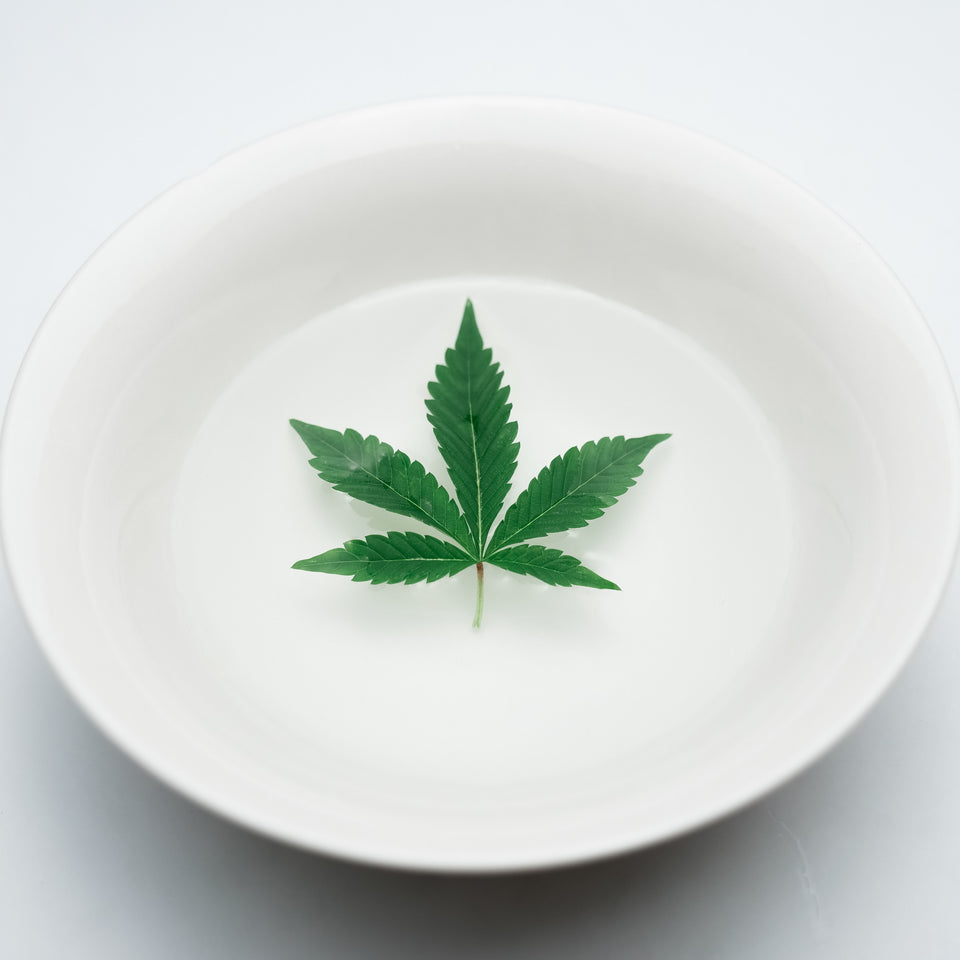 IMAGE_ASSIETTE_WEED